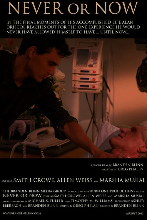 Never or Now (2013) poster