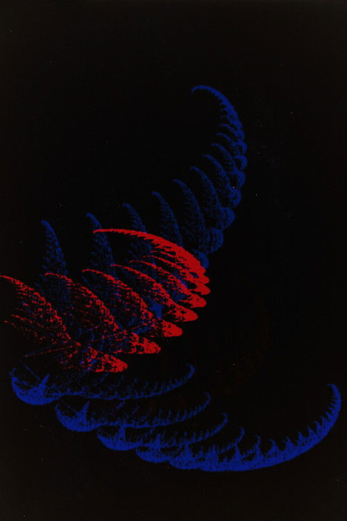 Samambaia (2021) poster