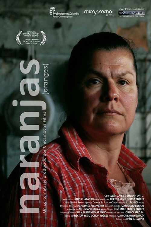 Naranjas (2014) poster