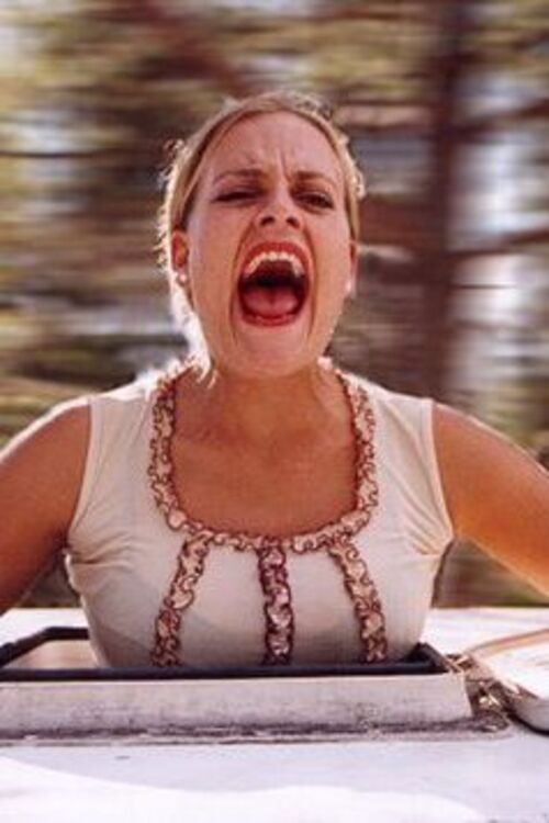 Caravan (2002) poster