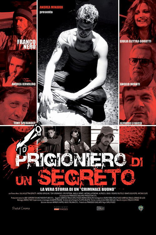 Prigioniero di un segreto (2010) poster