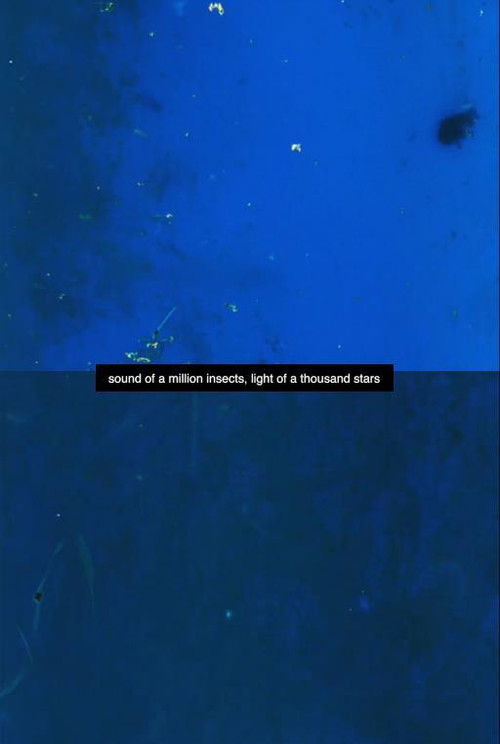 Sound of a Million Insects, Light of a Thousand Stars (2015) poster