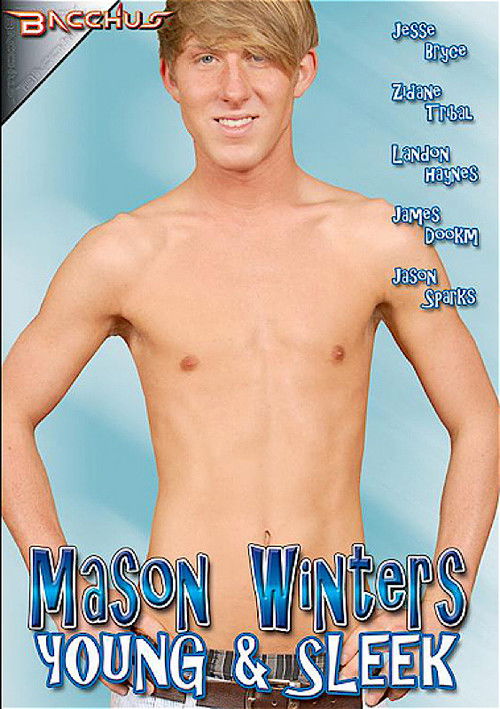 Mason Winters Young & Sleek (2010) poster