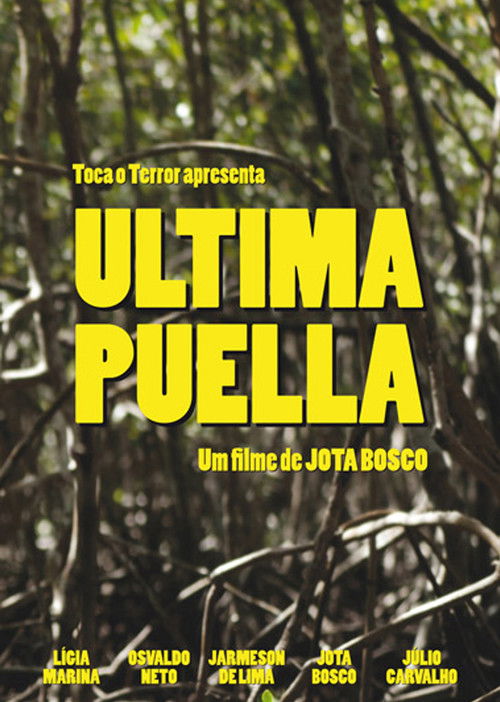 Ultima Puella (2017) poster
