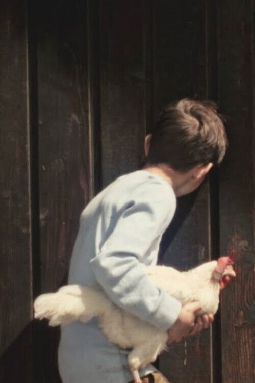 Metastaaten (2018) poster