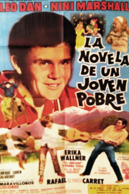 The novel of a poor young man (1968) poster