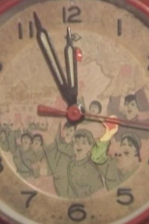 1966, My Time in the Red Guards (1993) poster