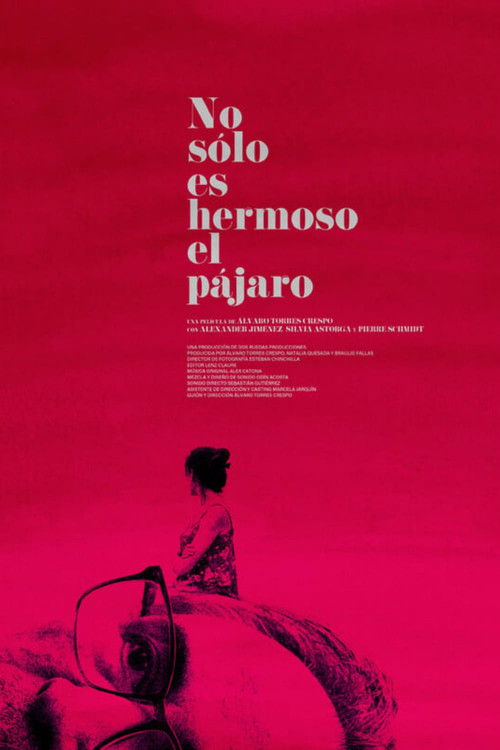 Not Only The Bird is Beautiful (2023) poster