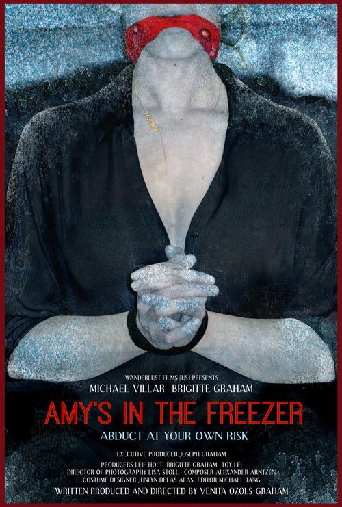 Amy's in the Freezer (2018) poster