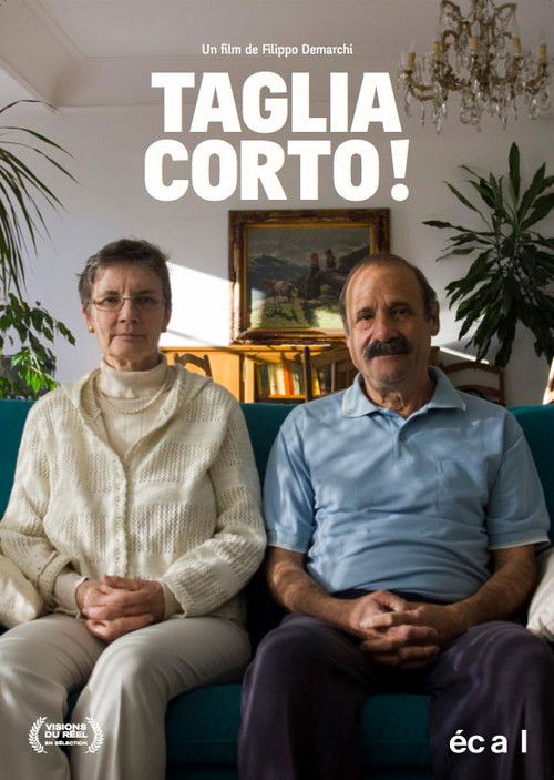 Cut It Short! (2013) poster