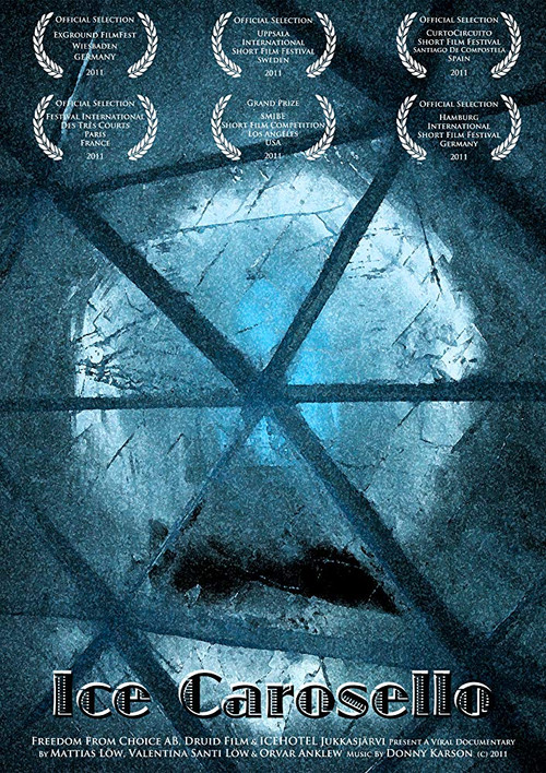 Ice Carosello (2010) poster