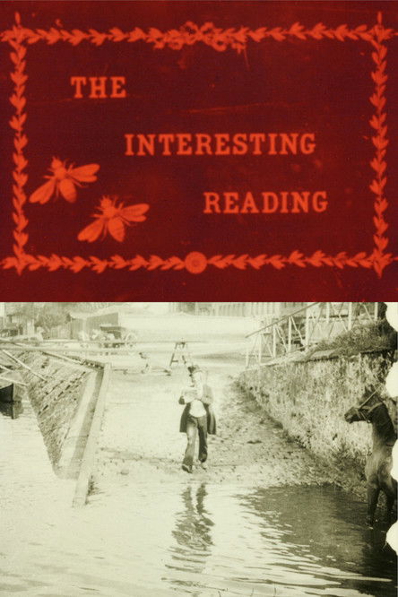 La lecture intéressante (1905) poster