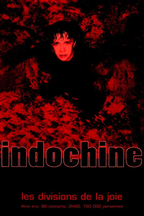 Indochine - Les divisions de la joie (2002) poster