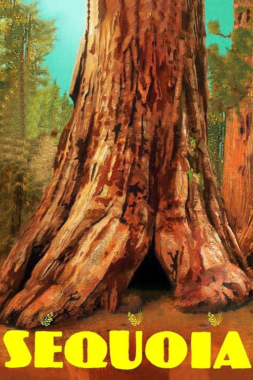 Sequoia (2014) poster