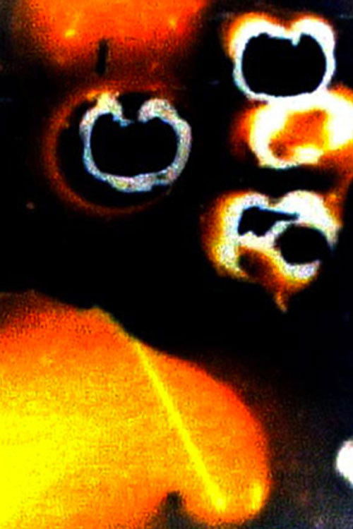 Fartasia (2002) poster