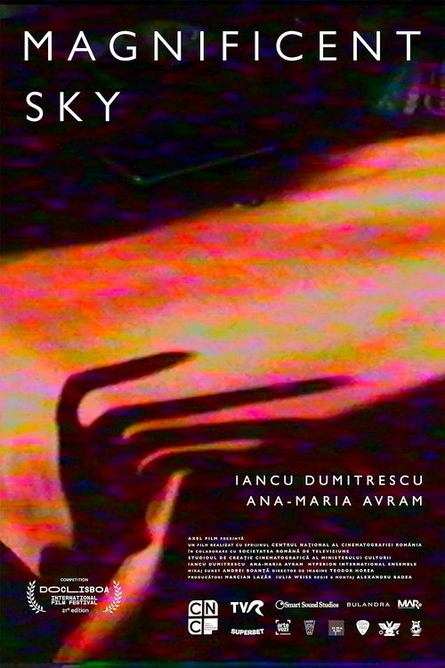 Magnificent Sky poster