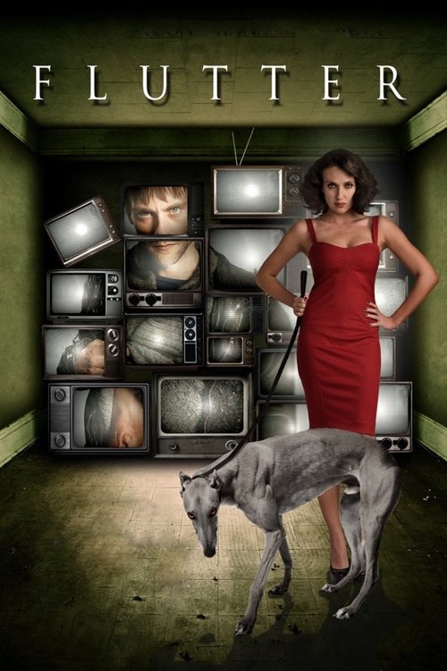Flutter (2011) poster
