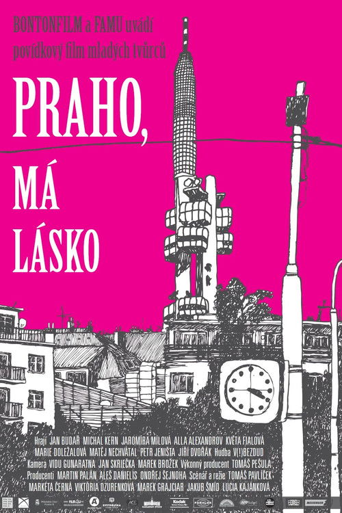 Praho, má lásko (2012) poster