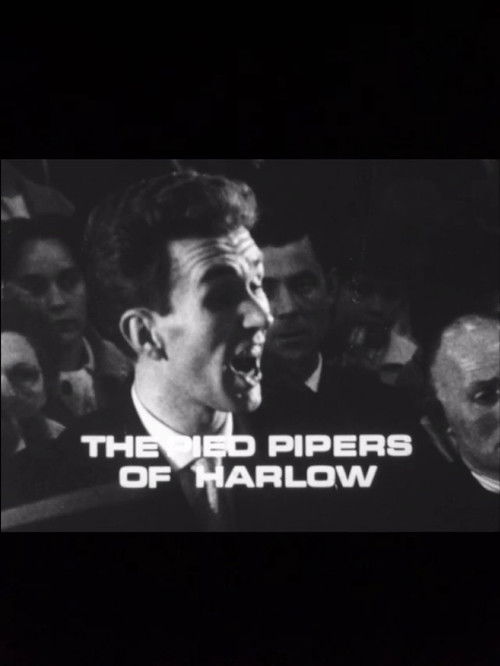 The Pied Pipers of Harlow (1965) poster