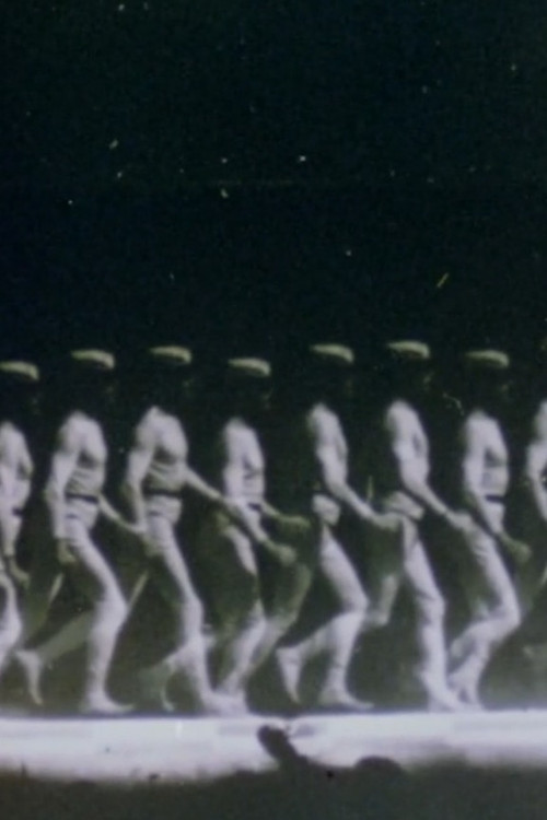 The Memory of the Eye E.J. Marey (1986) poster