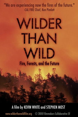 Wilder than Wild: Fire, Forests, and the Future (2018) poster