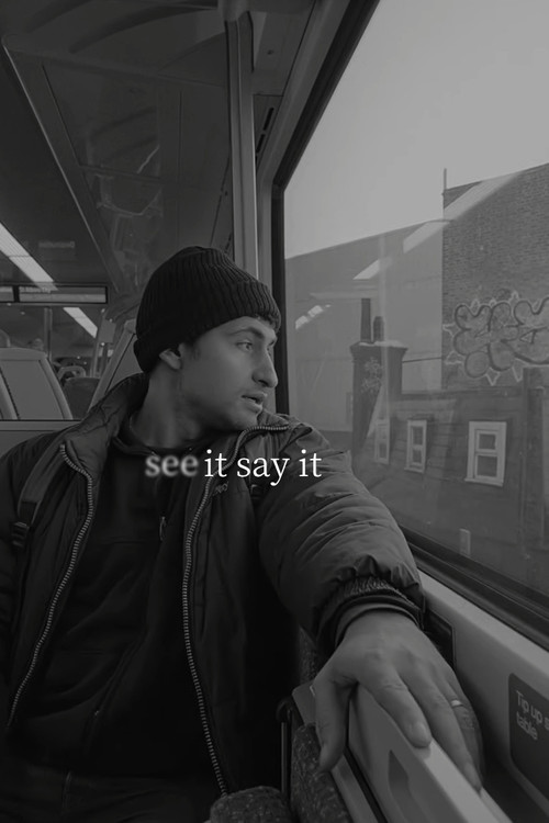 See It Say It (2024) poster