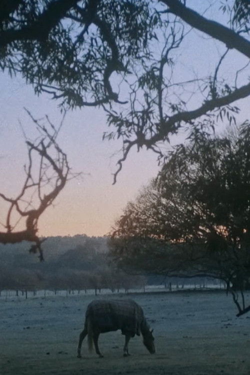 Until Then (2020) poster