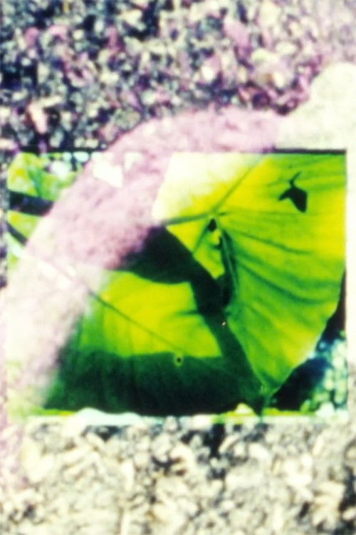 Fictions (2021) poster