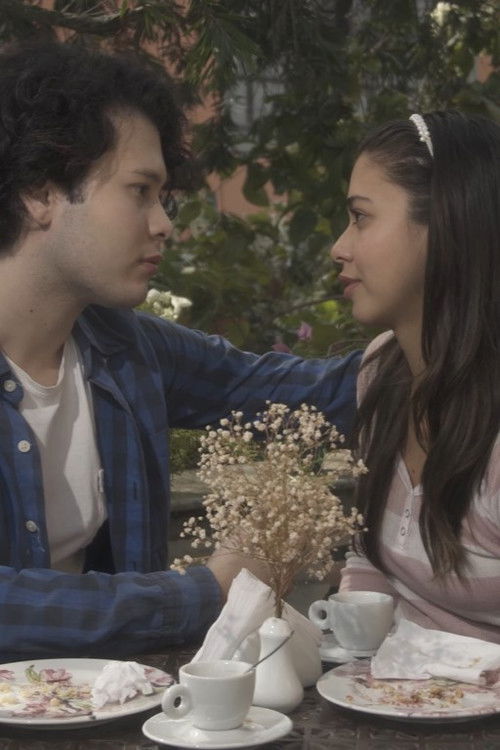 Manual do Amor para Jovens Desastrados (2022) poster