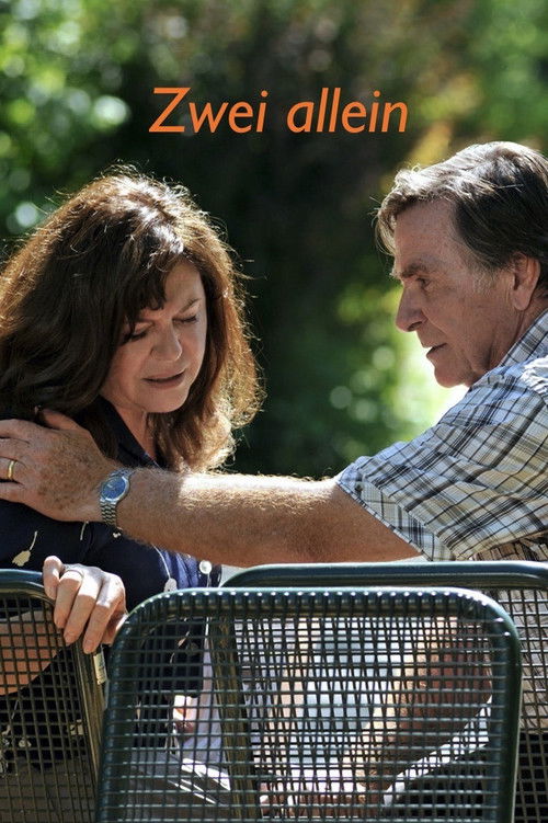 Zwei allein (2014) poster