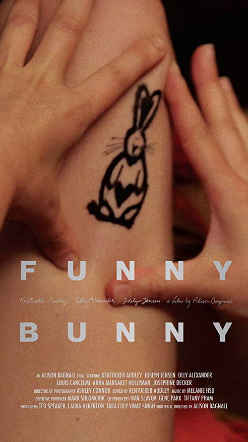 Funny Bunny (2015) poster