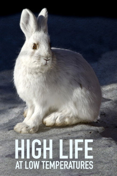 Lungau - Wildnis im Herzen der Tauern (2017) poster