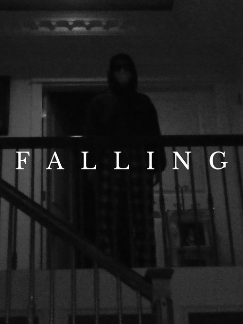 Falling (2022) poster