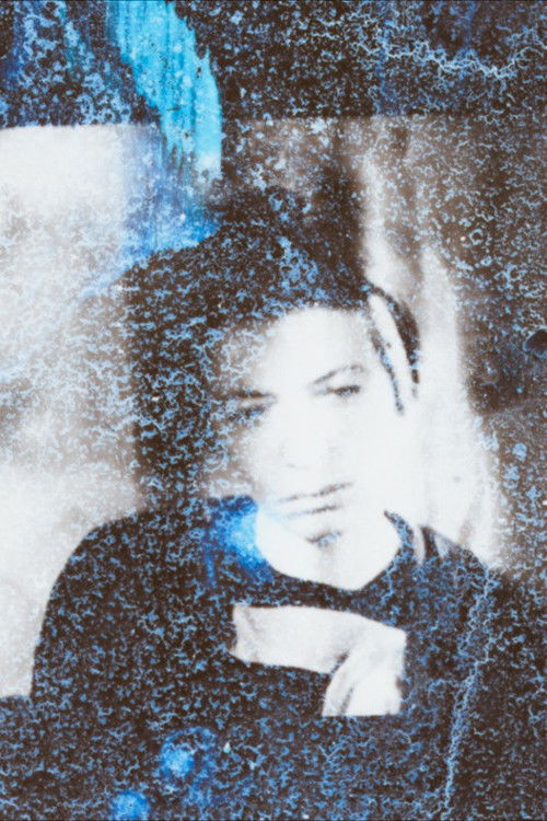 why i never became a driver (2023) poster