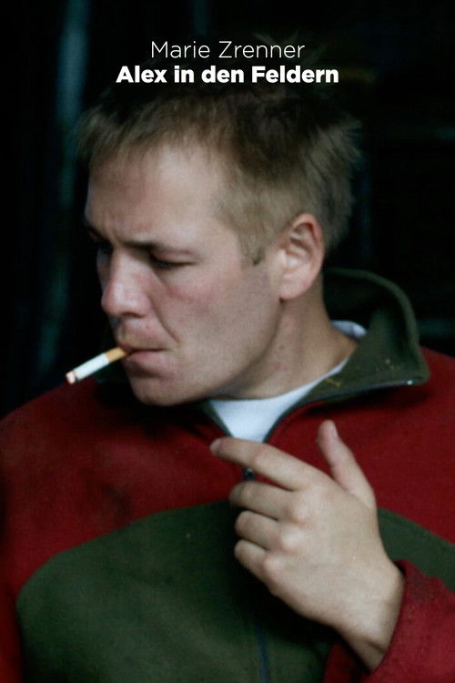 Alex in den Feldern (2023) poster