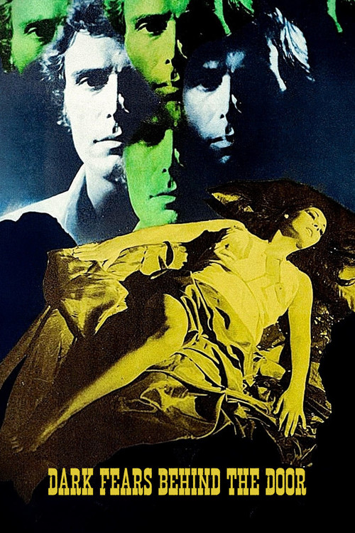 Dark Fears Behind the Door (2005) poster