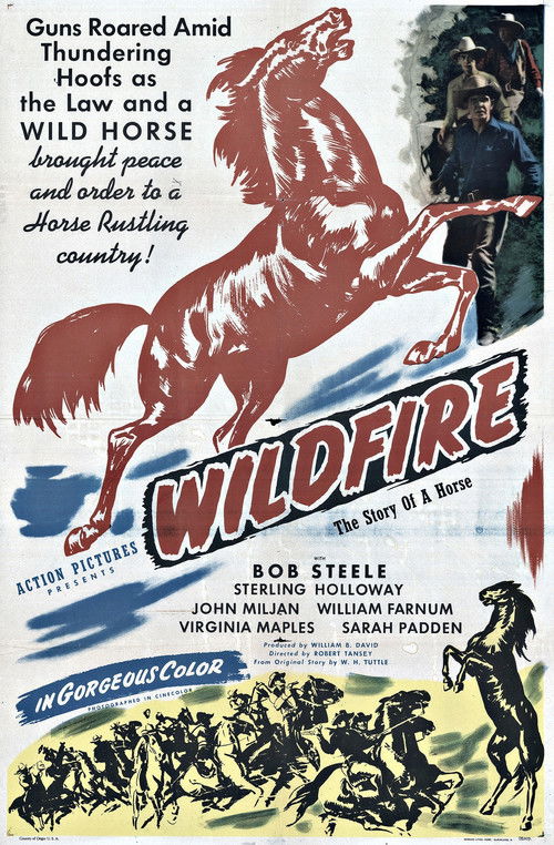 Wildfire (1945) poster