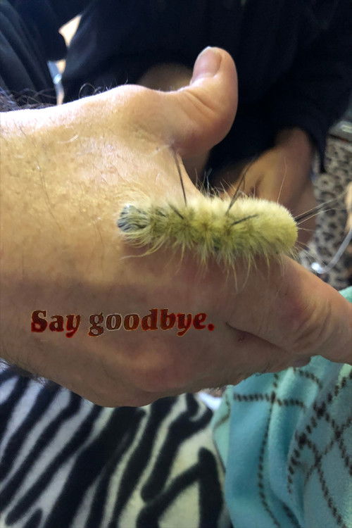 Say Goodbye (1971) poster