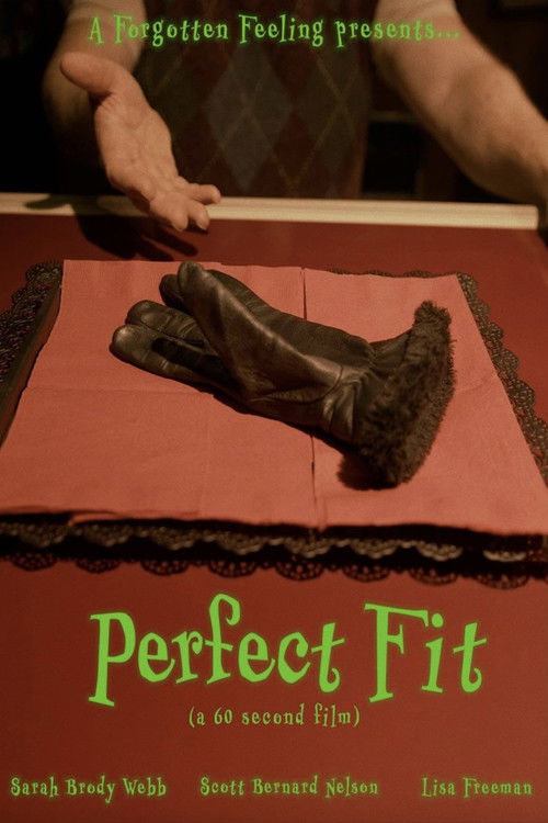 Perfect Fit (2025) poster