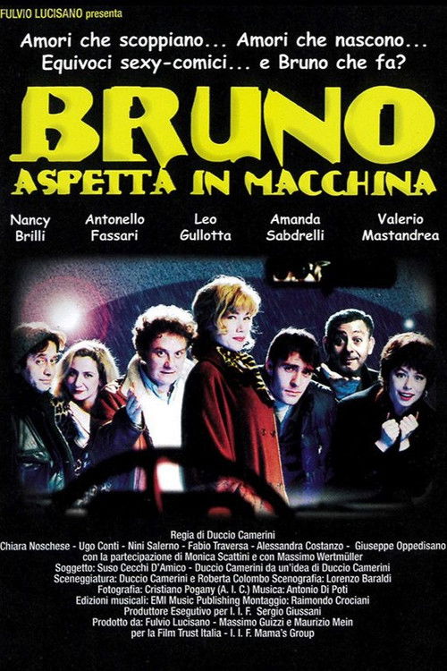 Bruno aspetta in macchina (1996) poster
