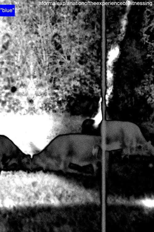 A Formal Explanation of the Experience of Witnessing "blue" (2024) poster