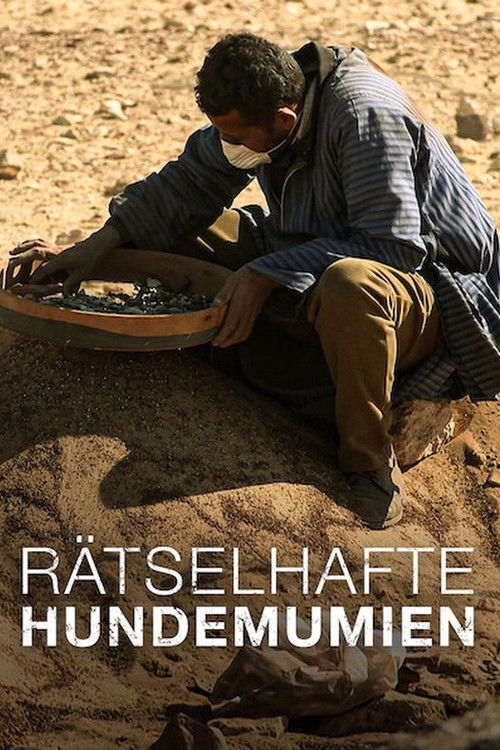 The Mysterious Mummified Dogs of Ancient Egypt (2020) poster