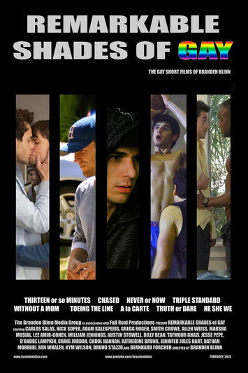 Remarkable Shades of Gay (2015) poster