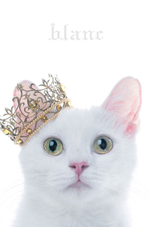 Aimer: Best Selection "blanc" (Limited Edition Bonus) (2017) poster