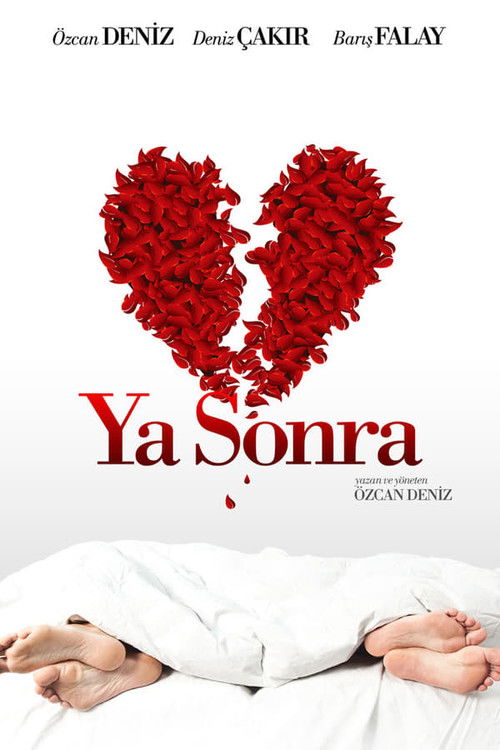 Ya Sonra? (2011) poster
