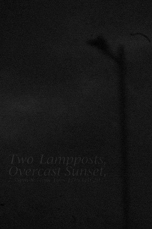 Two Lampposts, Overcast Sunset, 7.58pm-8.34pm Tues 17th Feb 2025 (2025) poster