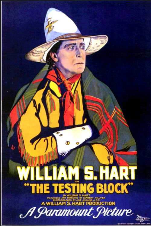 The Testing Block (1920) poster