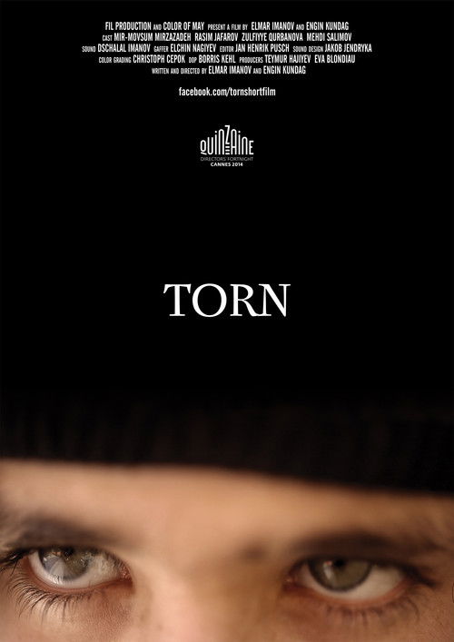 Torn (2014) poster