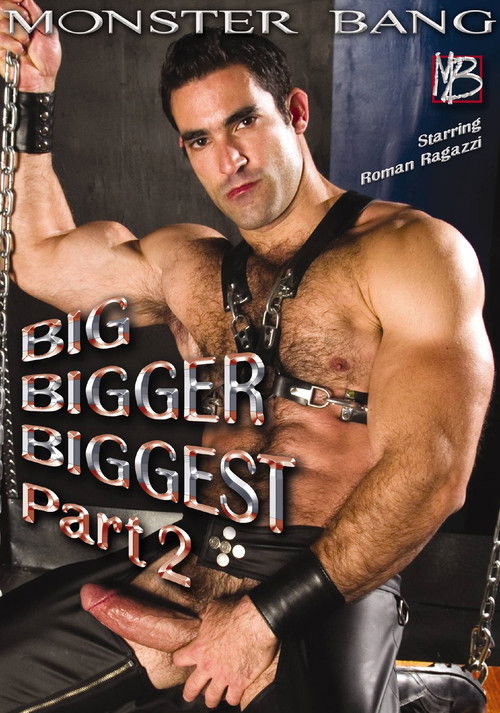 Big Bigger Biggest 2 (2008) poster