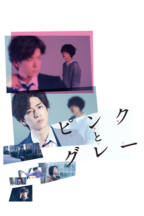 Pink and Gray (2016) poster